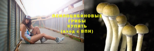 СК Верея