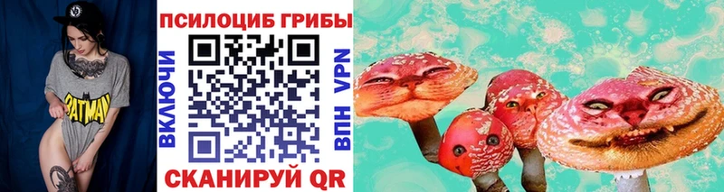 Купить  Тетюши  Галлюциногенные грибы ЛСД 